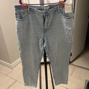 Abercrombie & Fitch women’s curve love